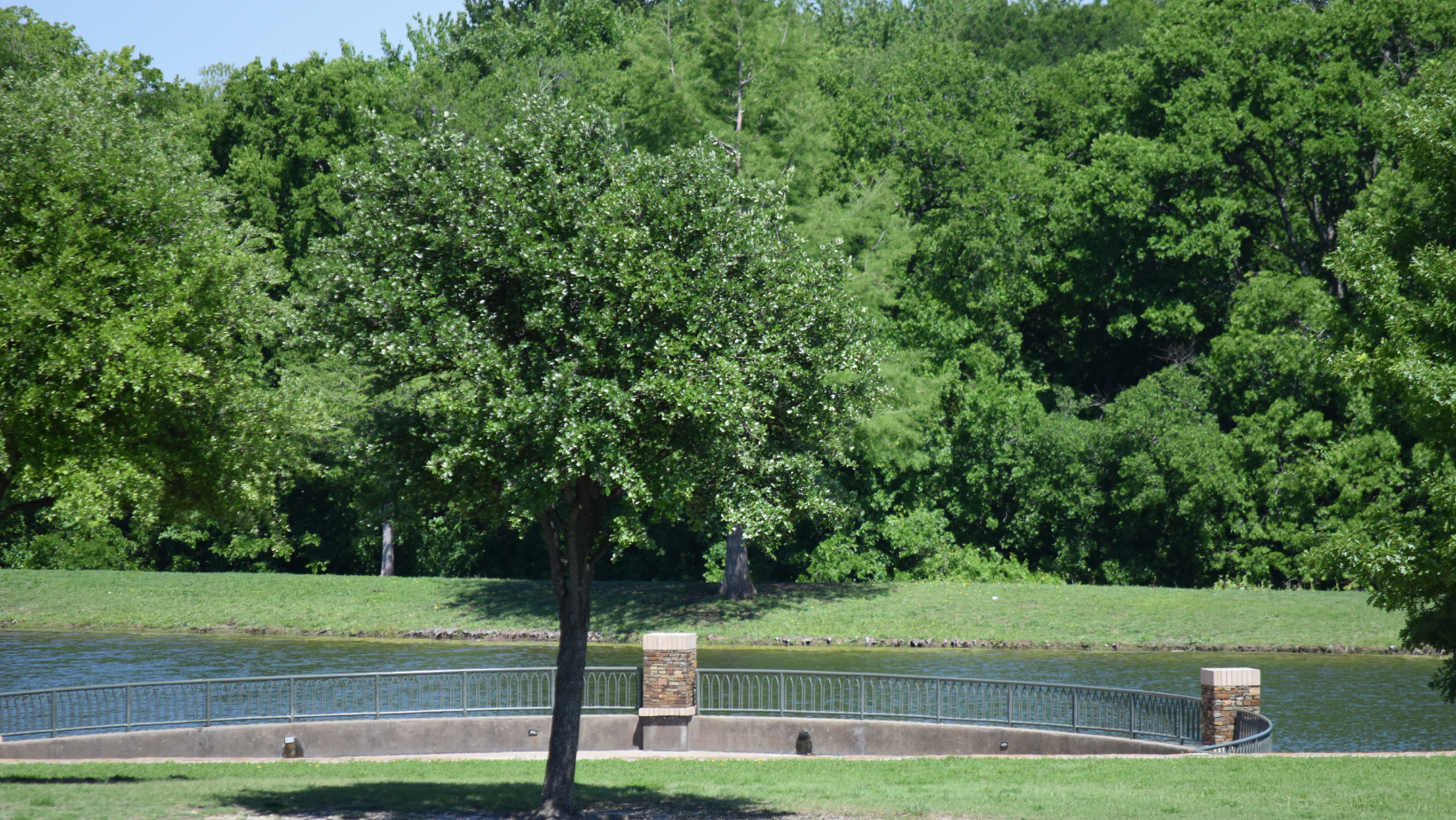 frisco texas park with stream