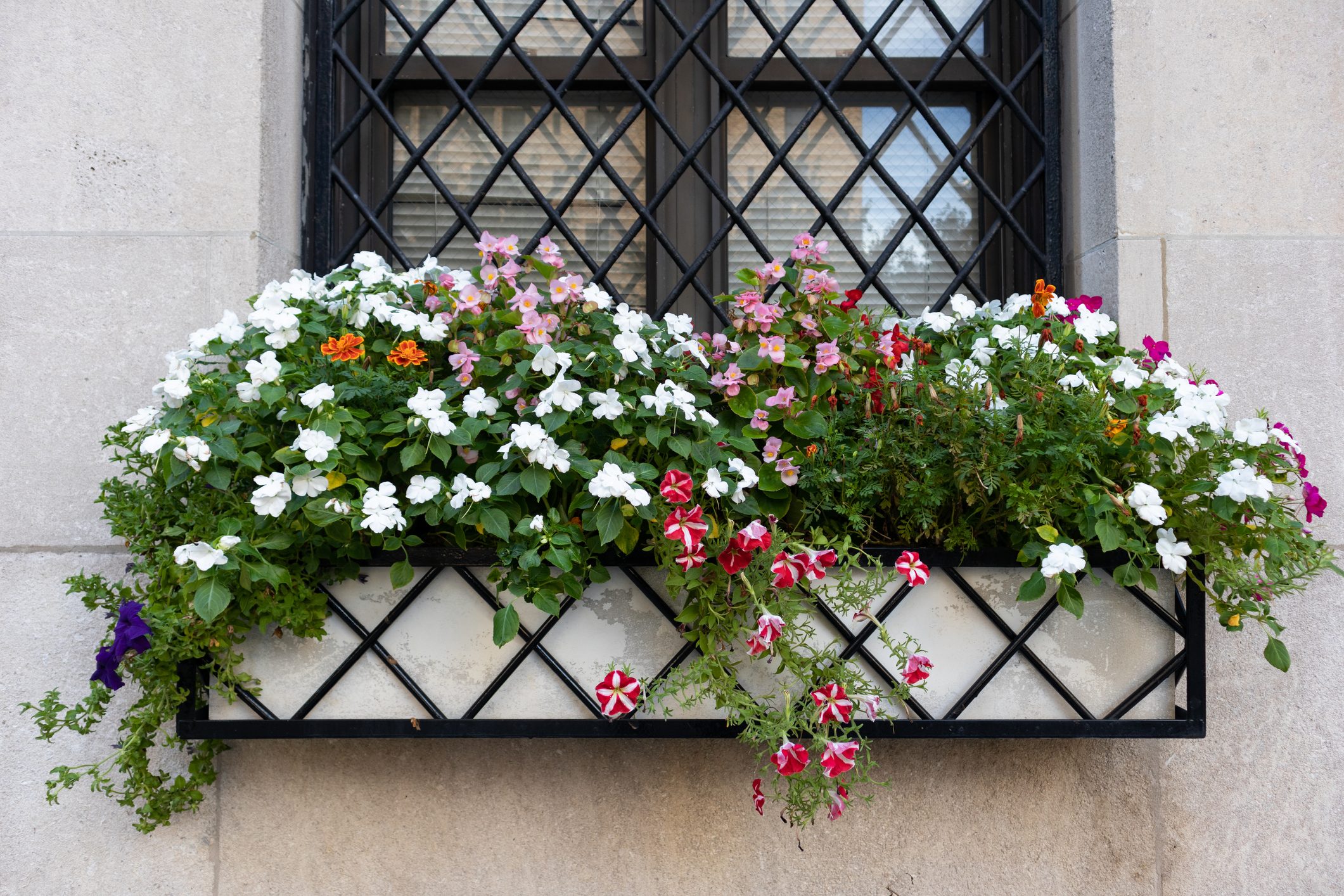 Taking Your Curb Appeal to the Next Level After Moving